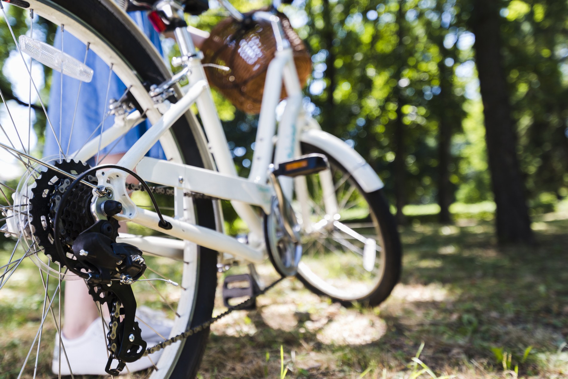 Location et livraison de vélos Location et livraison de vélos